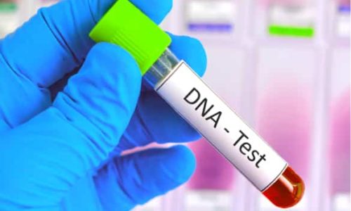 dna-test-mp